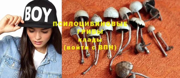 эйфоретик Тавда