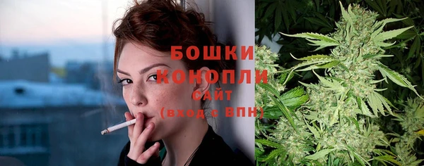 сатива Верхний Тагил